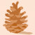The Wandering Pinecone