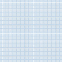 Any Occasion Gift Bags — The Papercraft Studio NZ