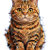 Cat Confusing Eyes