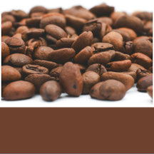 Mocha Brown Solid Color 