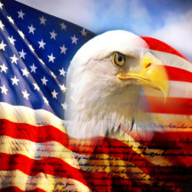 Bald Eagle and The American Flag Collection 