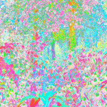 Aqua and Hot Pink Sunrise in My Rubio Garden