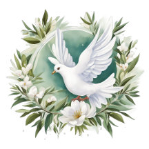 Beautiful White Peace Dove Collection