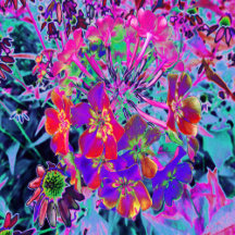 Psychedelic Colorful Red and Purple Flowers