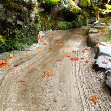 Wabi-Sabi – Japanese Aesthetic Art Collection