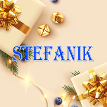 Stefanik_Name T-Shirt