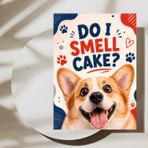 “Do I Smell Cake?” Cute Corgi