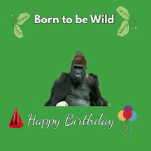 Born to Be Wild Birthday Collection