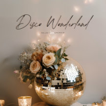 Disco Wonderland