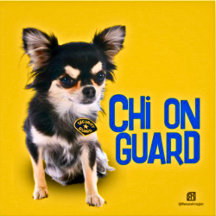Beware Of The Chihuahua