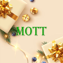 Mott Name T-Shirt