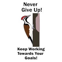 Woodpecker Never Give Up