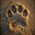 Furball_Boutique