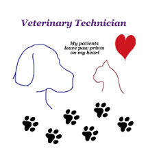 Veterinary Clinic Staff Appreciation Gifts