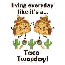 Taco Twosday Tuesday Twins 2nd Birthday Party