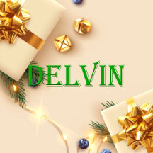Delvin Name T-Shirt