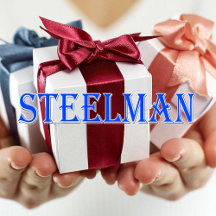 Steelman_Name T-Shirt