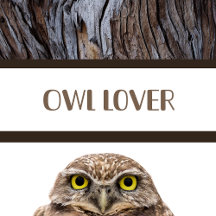 Owl Lovers