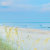 Litchfield_Beach