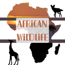 African Wildlife