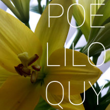 NO SOLICITING Stickers