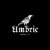 Umbric