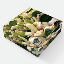 DISTINCTIVE PAPERWEIGHTS