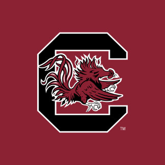 University of South Carolina