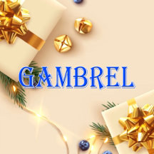 Gambrel_Name T-Shirt