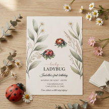 Lucky Ladybug First Birthday Party Collection