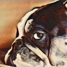 French Bulldog Accent Pillows