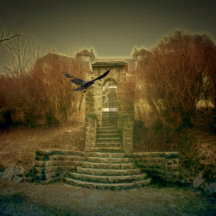 Shower curtains of evil