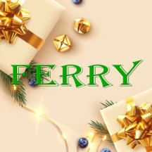 Ferry Name T-Shirt