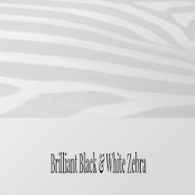 Brilliant Black & White Zebra