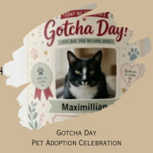 Gotcha Day Pet Adoption Celebration