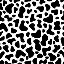 Cow Black White Spots 