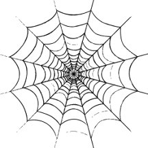 A Simple spider's web.
