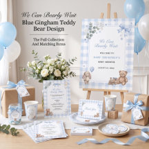 We Can Bearly Wait Blue Gingham Boy Suite