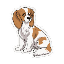 The cute cavalier king charles spaniel
