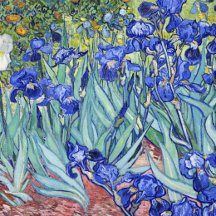 Irises (1889)