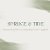 Spruce & Tide