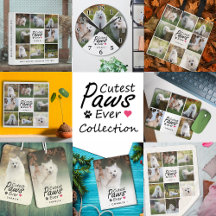  Modern Cutest Paws Ever Family Dog Photo Collage
