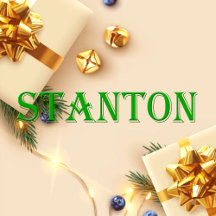 Stanton Name T-Shirt