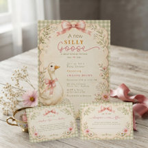Vintage Silly Goose Coquette Pink Baby Shower