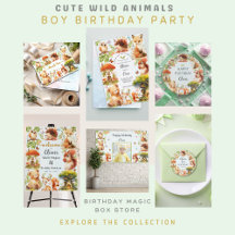 Cute Wild Animals Boy Birthday Party 