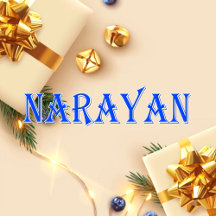 Narayan_Name T-Shirt