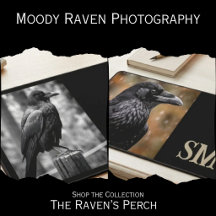 Moody Raven Photography