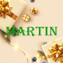 Martin Name T-Shirt