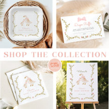 Vintage Goose Girl Baby Shower Supplies