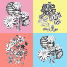 Monochrome Flowers